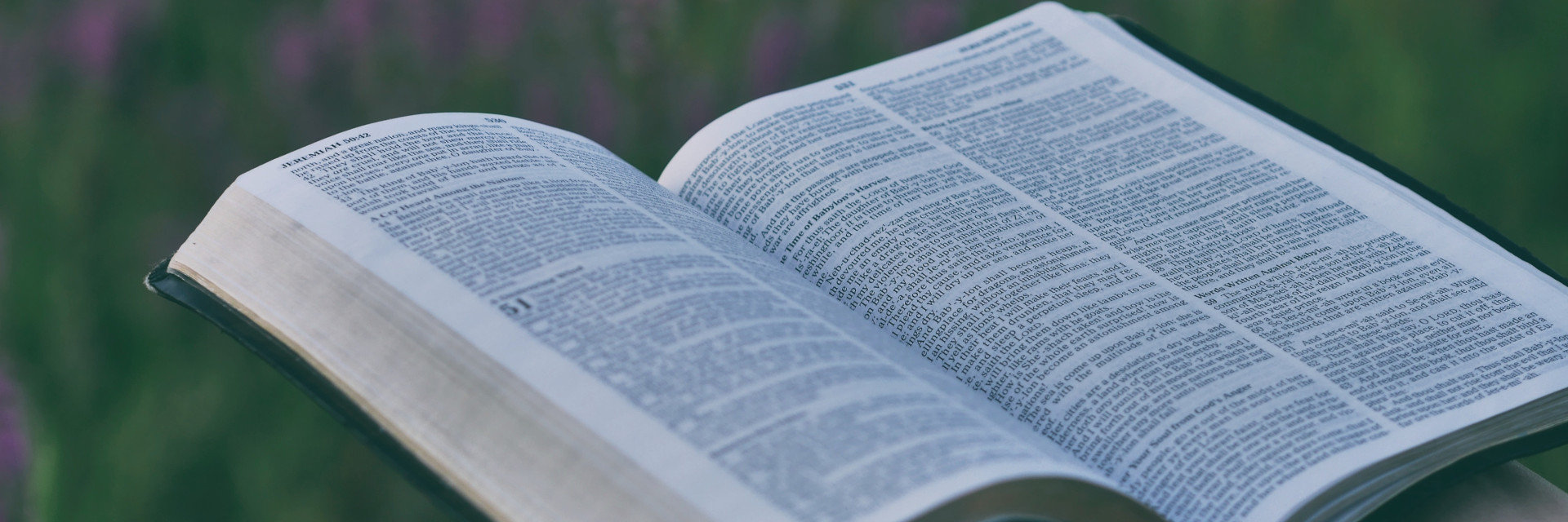 Open Bible in field of flowers